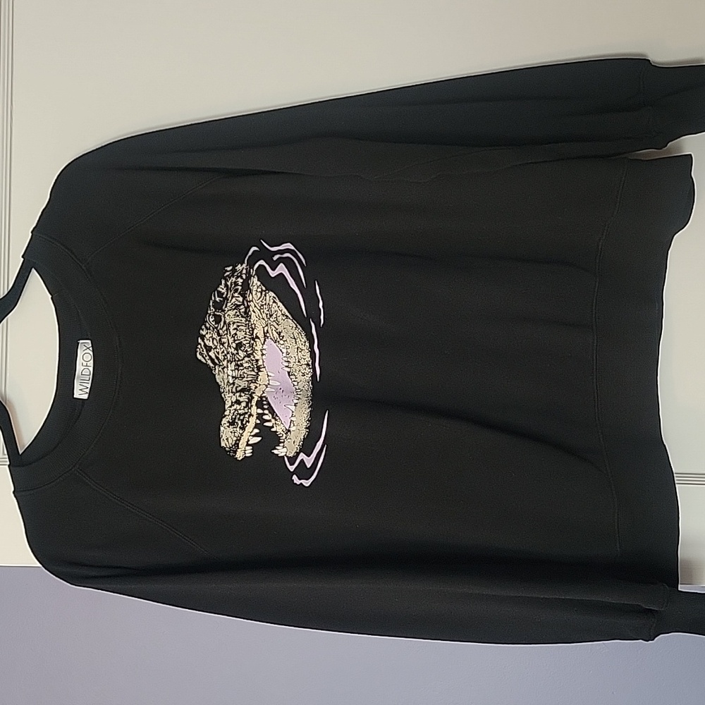 Wildfox Sweatshirt 🖤